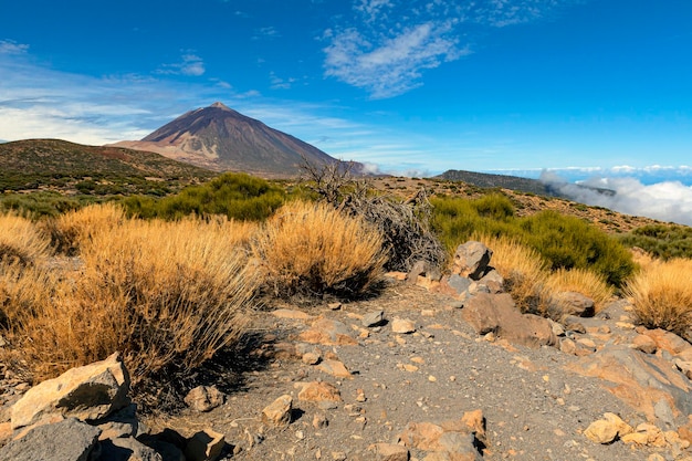 Paesaggio unico del Parco Nazionale del Teide e vista sulla cima del vulcano Teide. Isola di Tenerife...