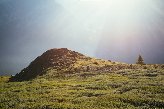 Paesaggio verde colorato con albero solitario vicino a una collina rocciosa sullo sfondo di una parete di montagna gigante alla luce del sole. Scenario soleggiato minimalista con raggi solari e bagliori. Vista alpina minima. Minimalismo scenico.