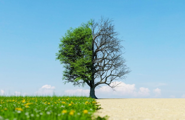 paesaggio verde con il cambiamento climatico alla siccità