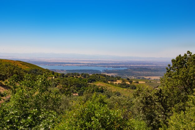 Paesaggio verde con lago interno in background. Pantano.