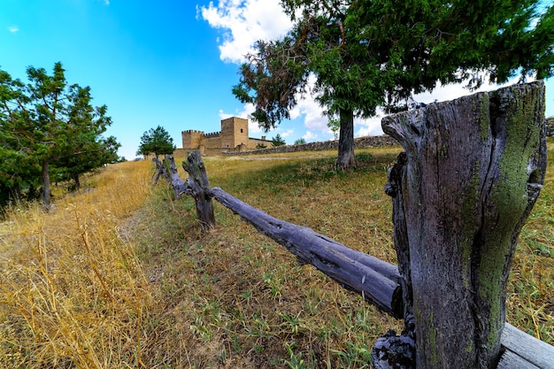 Paesaggio verde con staccionata in legno, prati erbosi e boschi di alberi, cielo blu con nuvole. Spagna.