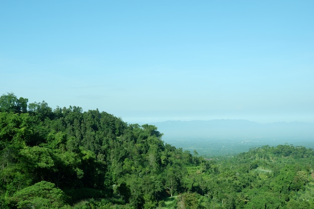 Paesaggio verde della valle della collina della montagna