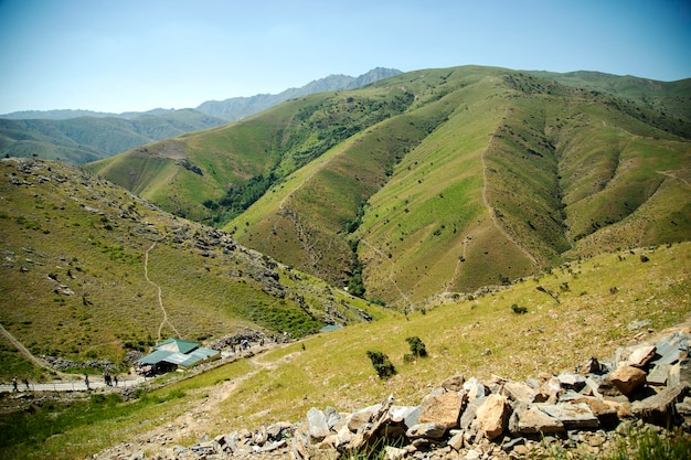 Paesaggio verde nella regione di Samarcanda