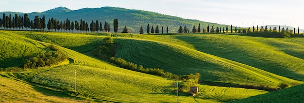 Paesaggio verde unico e gamma di colline coltivate in Toscana, Italia