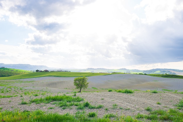 Paesaggio verde unico in Val d'Orcia, Toscana, Italia. Luce mattutina con foschia e nebbia su colline coltivate e campi coltivati a cereali.