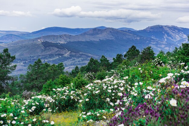 Paesaggio vicino alla diga di Atazar (Madrid, Spagna)