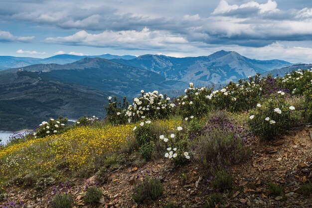 Paesaggio vicino alla diga di Atazar (Madrid, Spagna)