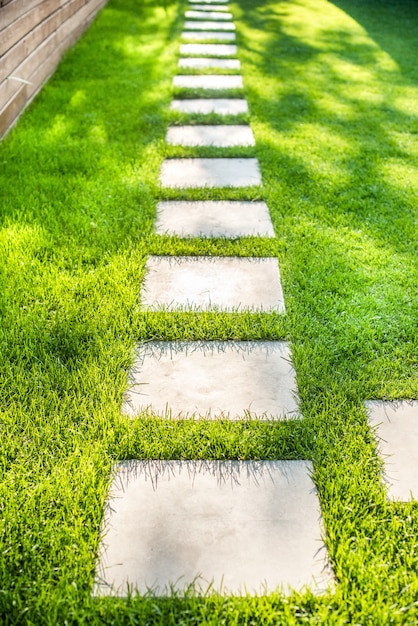 Paesaggistica del giardino con un percorso di singole tavolozze. quadrati di pietra sul prato. estate, erba verde, riverbero del sole.