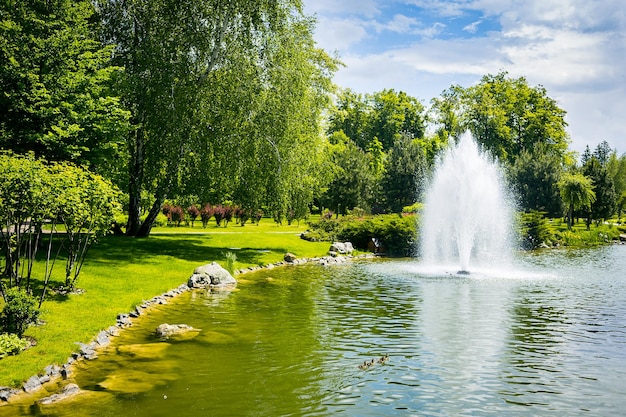 Paesaggistica in giardino Il sentiero nel giardinoBellissimo design del paesaggio del cortileAlcuni fiori e cespugli ben curati sul cortile livellatoPaesaggio formale