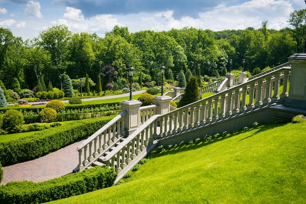 Paesaggistica in giardino Il sentiero nel giardinoBellissimo design del paesaggio del cortileAlcuni fiori e cespugli ben curati sul cortile livellatoPaesaggio formale