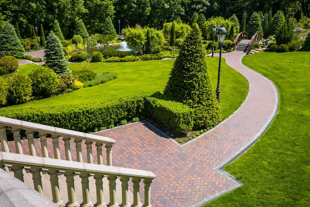 Paesaggistica in giardino Il sentiero nel giardinoBellissimo design del paesaggio del cortileAlcuni fiori e cespugli ben curati sul cortile livellatoPaesaggio formale