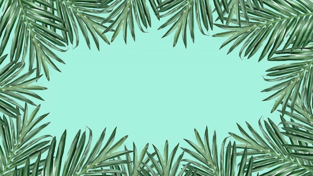 Pagina delle foglie di palma su fondo bianco. Spazio per il testo. Concetto di vacanza estiva