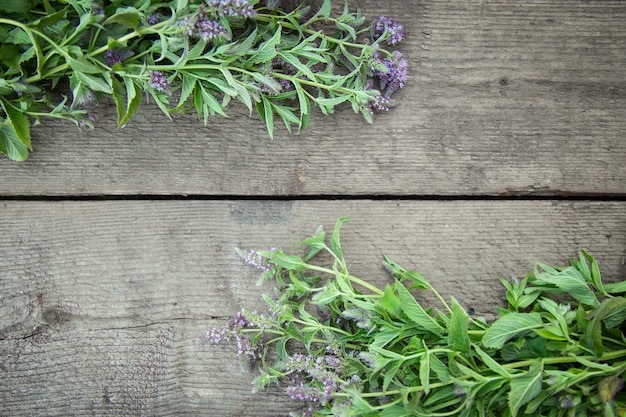 Pagina Erbe aromatiche fioritura menta piperita su uno sfondo di legno. Erbe medicinali. Stile country rurale vintage. disteso.