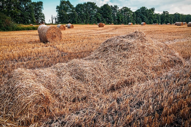 Paglia e balle sul campo al tramonto