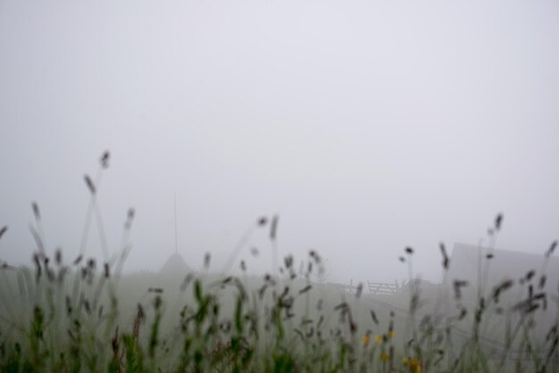 Pagliaio nel villaggio di montagna del campo