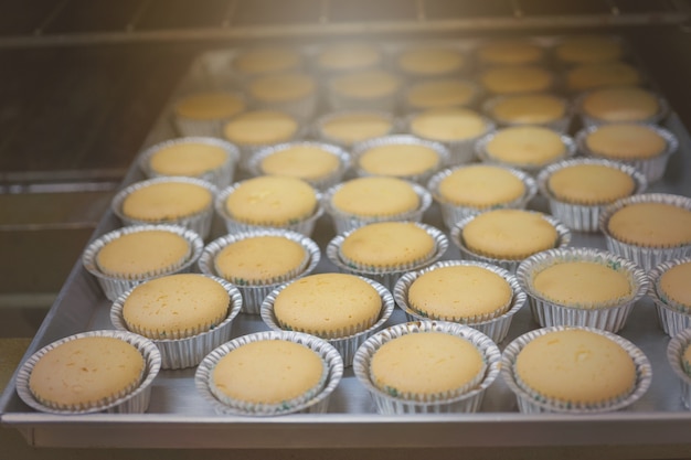 Pagnotte di pane appena sfornate Forno di produzione alla panetteria.