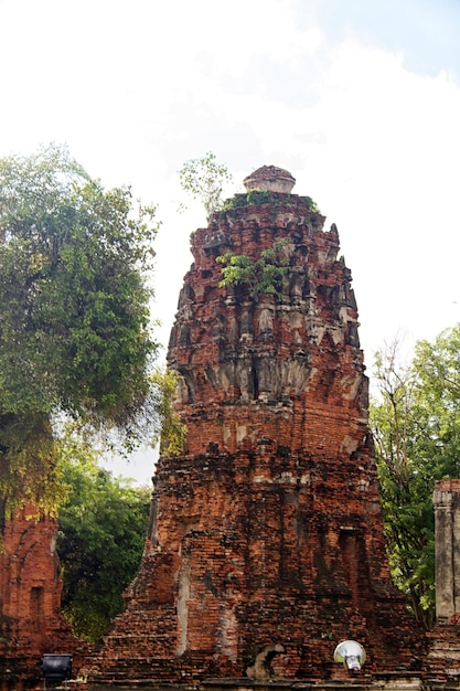 Pagoda al tempio Wat Chaiwattanaram Ayutthaya Thailandia