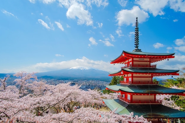 Pagoda Chureito con Cherry Blossom e Monte Fuji a Fujiyoshida, in Giappone