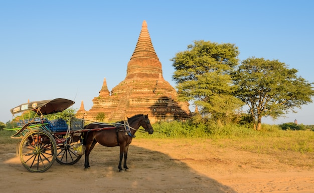 Pagoda e carrello antichi del cavallo in Bagan, Myanmar