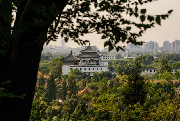 Pagoda Orientale Pechino La bellezza dell'est