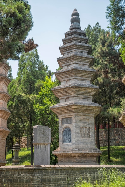 Pagode della foresta del monastero di Shaolin