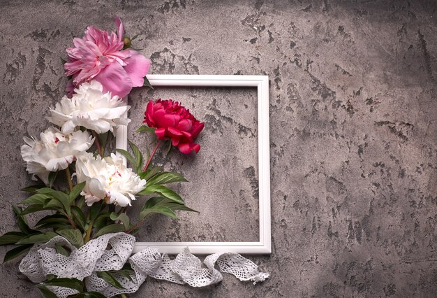 Paionies fiori cornice isolata e bianca su sfondo grigio.