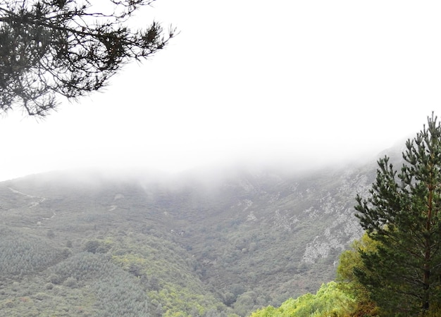 Paisaje otoñal en el puerto de montaña con bruma