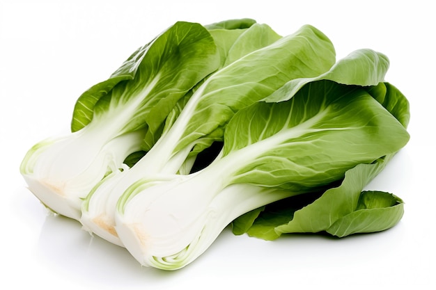 Pak choi su sfondo bianco