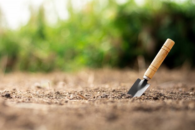 Pala a terra per preparare il terreno per piantare alberi. concetto di agricoltura.