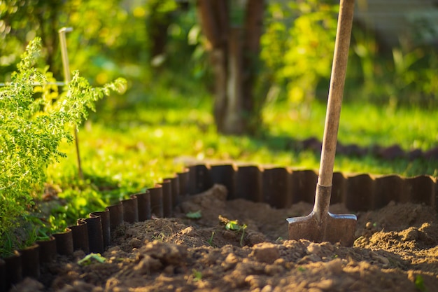 Pala per attrezzi da giardino per agricoltori Concetto di giardinaggio Lavori agricoli nella piantagione