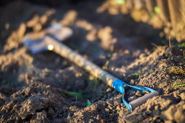 Pala per attrezzi da giardino per agricoltori Concetto di giardinaggio Lavori agricoli nella piantagione