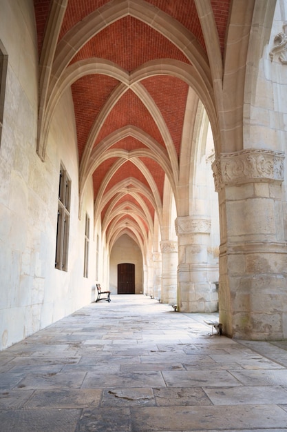 Palazzo dei Duchi di Lorena ingresso del museo a Nancy Francia architettura ad arco medievale