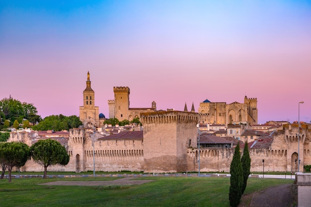 Palazzo dei Papi, una volta fortezza e palazzo, uno dei più grandi e importanti edifici gotici medievali in Europa, al tramonto, Avignone, Francia