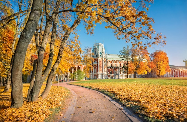 Palazzo Tsaritsyno a Mosca circondato da colorati alberi autunnali del parco al sole mattutino