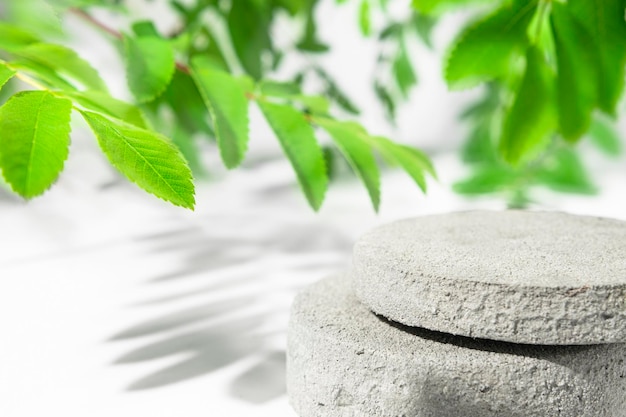 Palco cosmetico vuoto in cemento grigio a forma di cerchio con foglie verdi e ombra