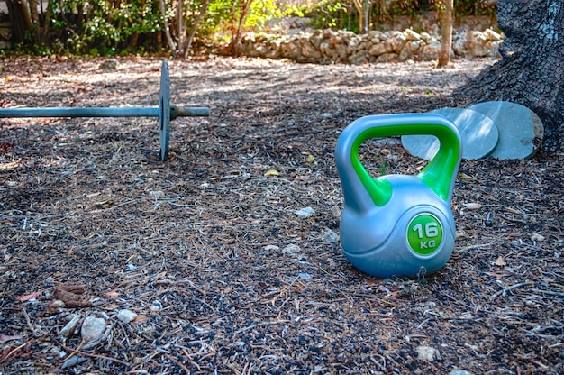 Palestra fatta in casa in un giardino