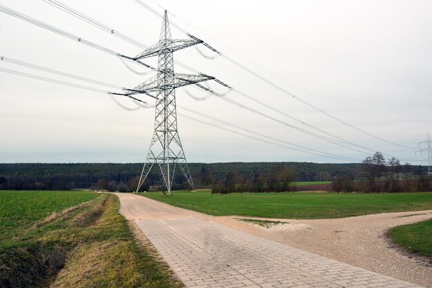 Pali della linea elettrica sopra strade sterrate in prospettiva su campi agricoli C'è una foresta