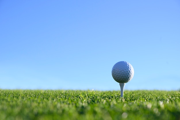 Palla da golf in una tee bianca