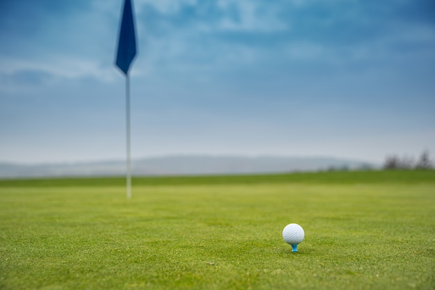 palla da golf sul verde