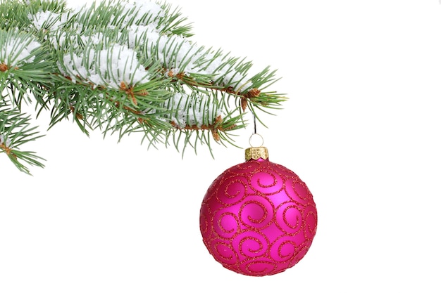 Palla di Natale sull'albero isolato