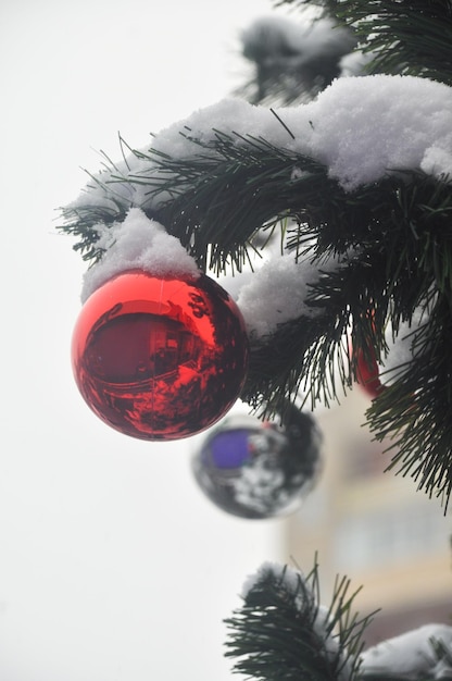 Palla nella neve sull'albero di Natale