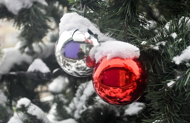 Palla nella neve sull'albero di Natale