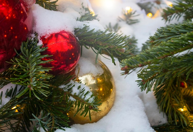 Palle di Natale gialle e rosse sui rami verdi di un albero di Natale con la neve alla vigilia di Natale