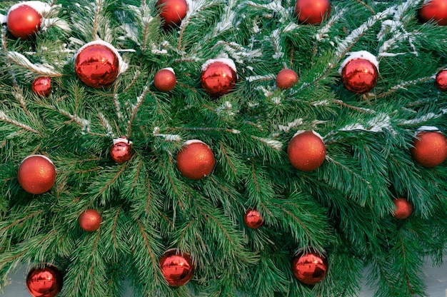 Palle di Natale rosse di Natale sullo sfondo del modello di rami dell'albero di Natale