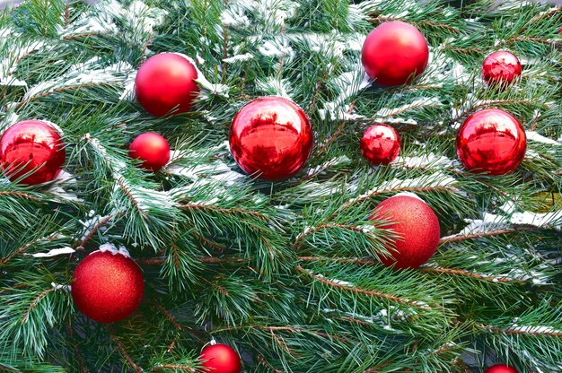 Palle di Natale rosse di Natale sullo sfondo del modello di rami dell'albero di Natale