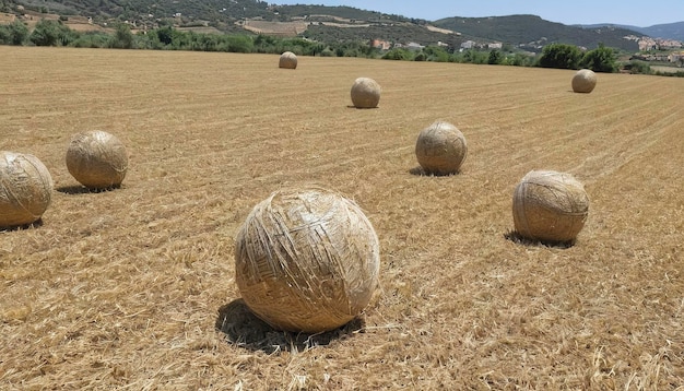 Palle di paglia sul campo in Spagna
