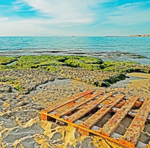 Pallet dalla riva di Alghero al tramonto