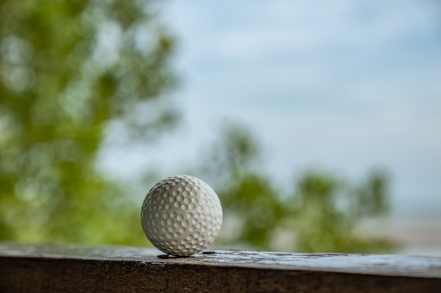 Pallina da golf con vista sul mare