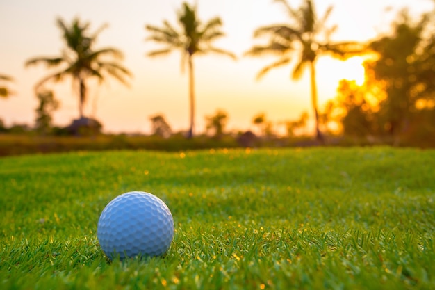 Pallina da golf in erba in una giornata di sole.