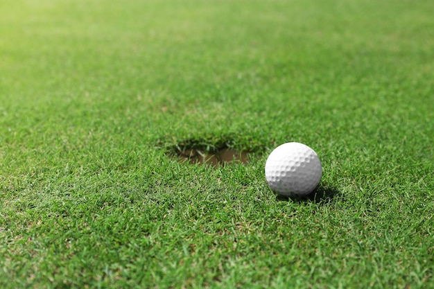 Pallina da golf sul labbro della tazza sul campo da golf verde